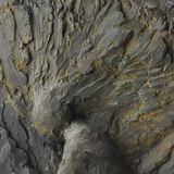 Nenuphar 25x29x07